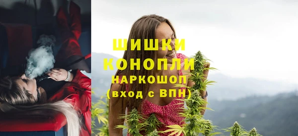 шишки Медногорск