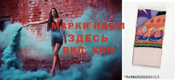 шишки Медногорск