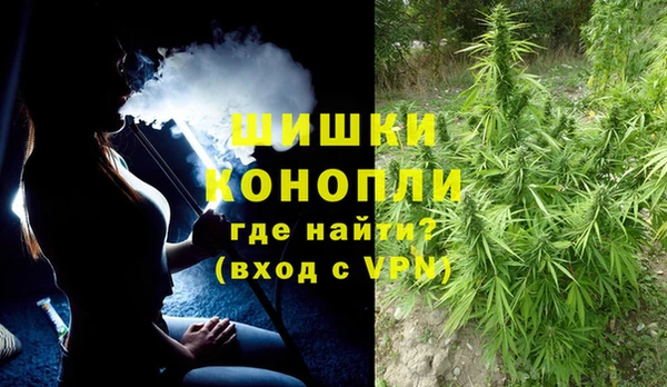 шишки Медногорск