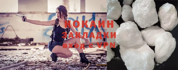 шишки Медногорск