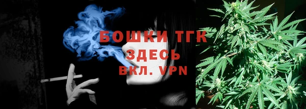 шишки Медногорск