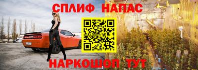 прущие грибы Балашиха