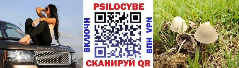 ОМГ ОМГ онион  darknet наркотические препараты  Галлюциногенные грибы мицелий  Соликамск 