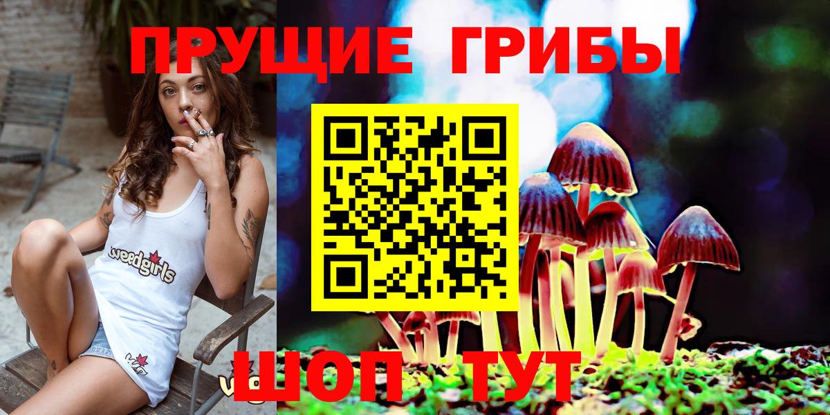 Галлюциногенные грибы Cubensis  закладки  Соликамск  Вход с VPN 
