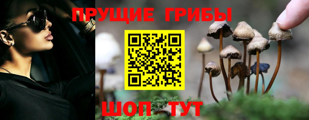 Псилоцибиновые грибы Cubensis Соликамск
